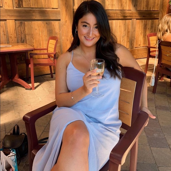 Aritzia Lustria Dress - Picture 3 of 3